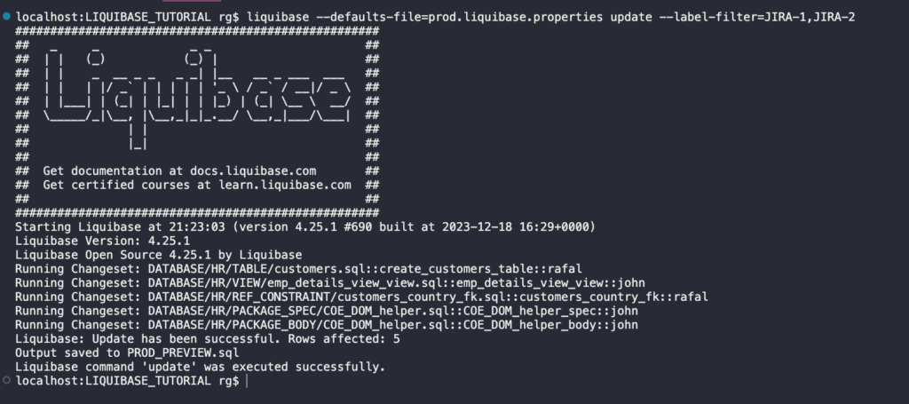 A screenshot showing Liquibase.