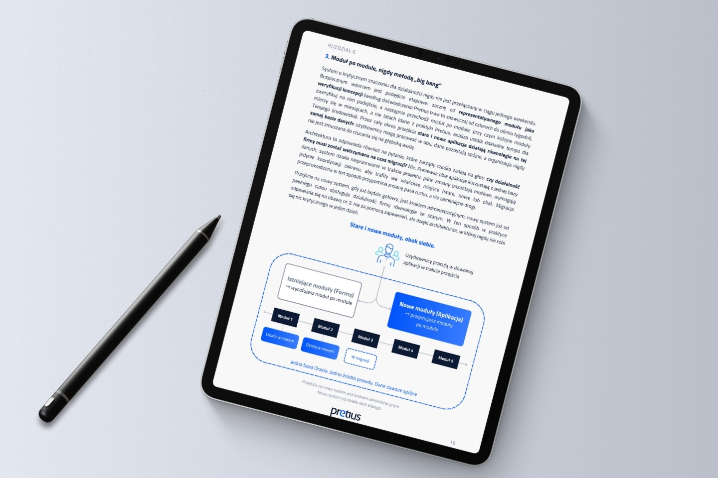 Flexible Oracle Forms Migration - Ebook - 2 pl