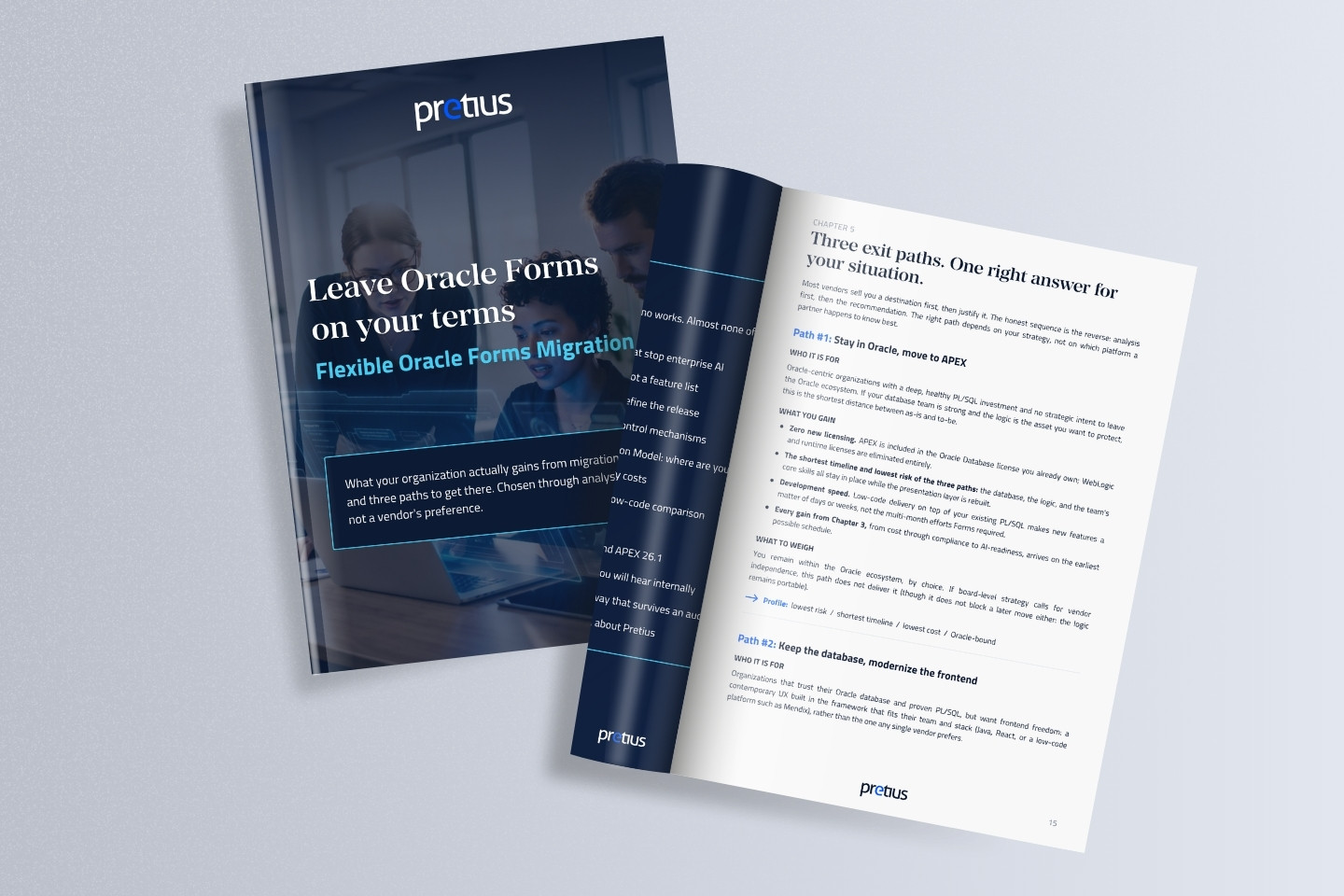 Flexible Oracle Forms Migration - Ebook - 3b